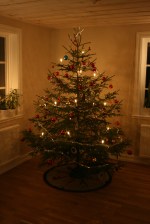 Fam. Janssons första egenhuggna julgran från den egna skogen Fam. Janssons första egenhuggna julgran från den egna skogen