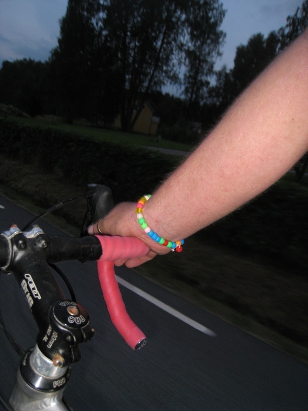 IMG_3356_800x600.shkl